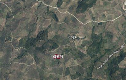 C21 Cius; Hamidiye Köyü’nde Yolu Olan, Tek Tapu Doğal Arazi