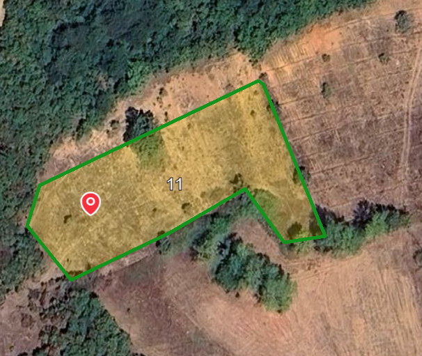 BALIKESİR DURSUNBEY SÜLELER SATILIK TARLA