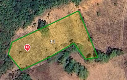 BALIKESİR DURSUNBEY SÜLELER SATILIK TARLA