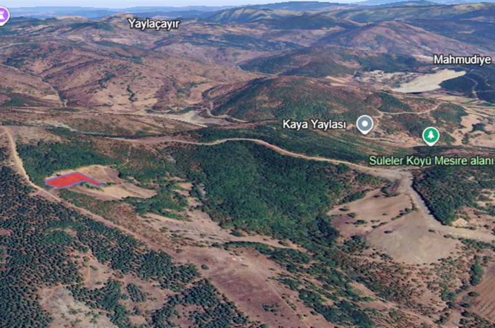 BALIKESİR DURSUNBEY SÜLELER SATILIK TARLA