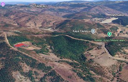 BALIKESİR DURSUNBEY SÜLELER SATILIK TARLA