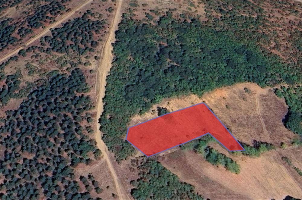 BALIKESİR DURSUNBEY SÜLELER SATILIK TARLA