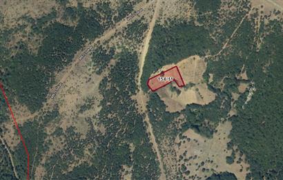 BALIKESİR DURSUNBEY SÜLELER SATILIK TARLA