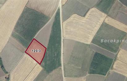 CENTURY21 BAL'DAN YAĞCILARDA SATILIK TARLA