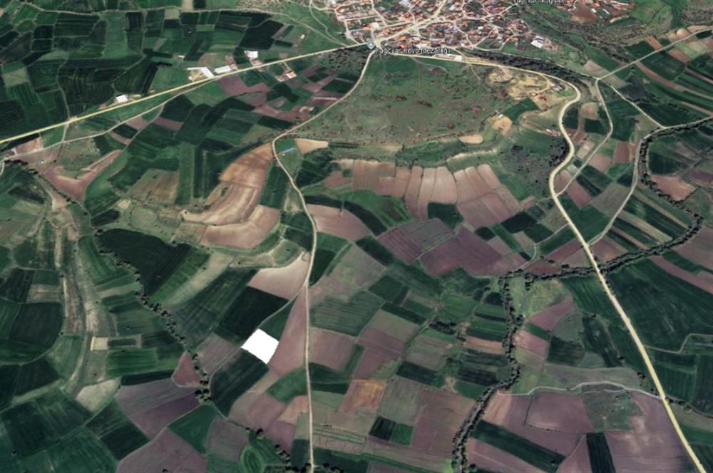 CENTURY21 BAL'DAN YAĞCILARDA SATILIK TARLA