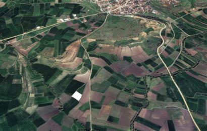 CENTURY21 BAL'DAN YAĞCILARDA SATILIK TARLA