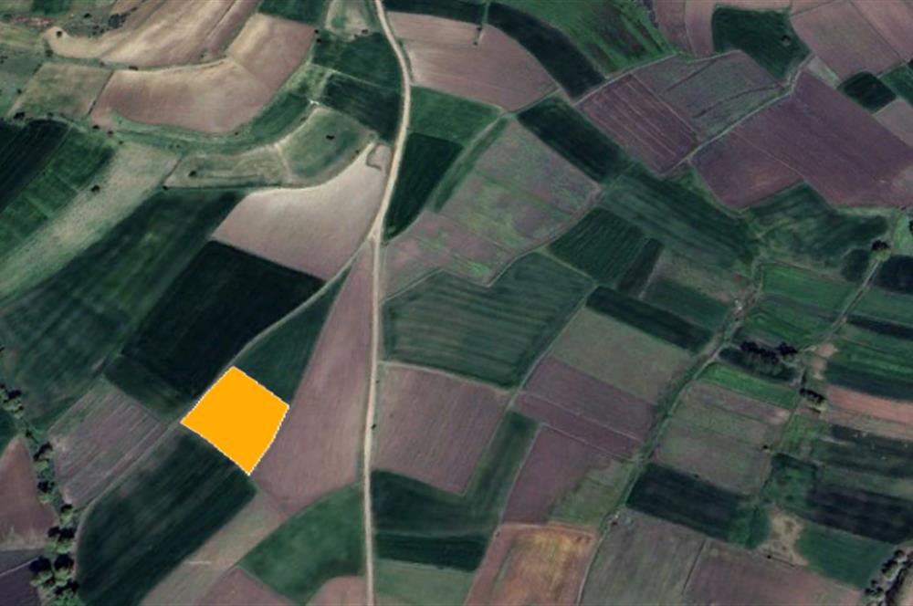 CENTURY21 BAL'DAN YAĞCILARDA SATILIK TARLA