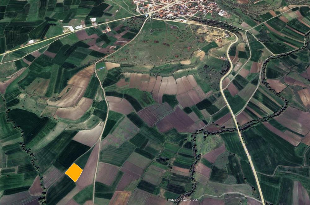 CENTURY21 BAL'DAN YAĞCILARDA SATILIK TARLA