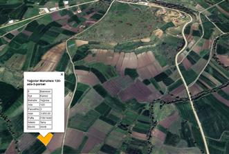 CENTURY21 BAL'DAN YAĞCILARDA SATILIK TARLA - 3 - 30792