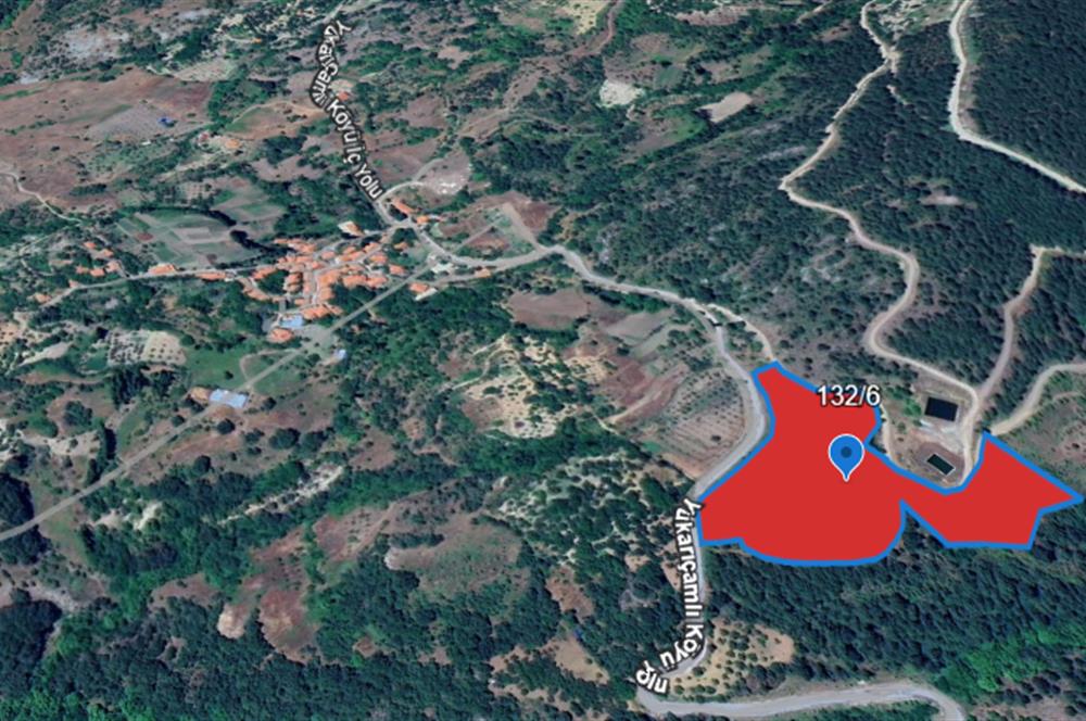 Balıkesir Bigadiç Yukarıçamlı SATILIK TARLA C21 Bal