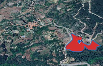 Balıkesir Bigadiç Yukarıçamlı SATILIK TARLA C21 Bal