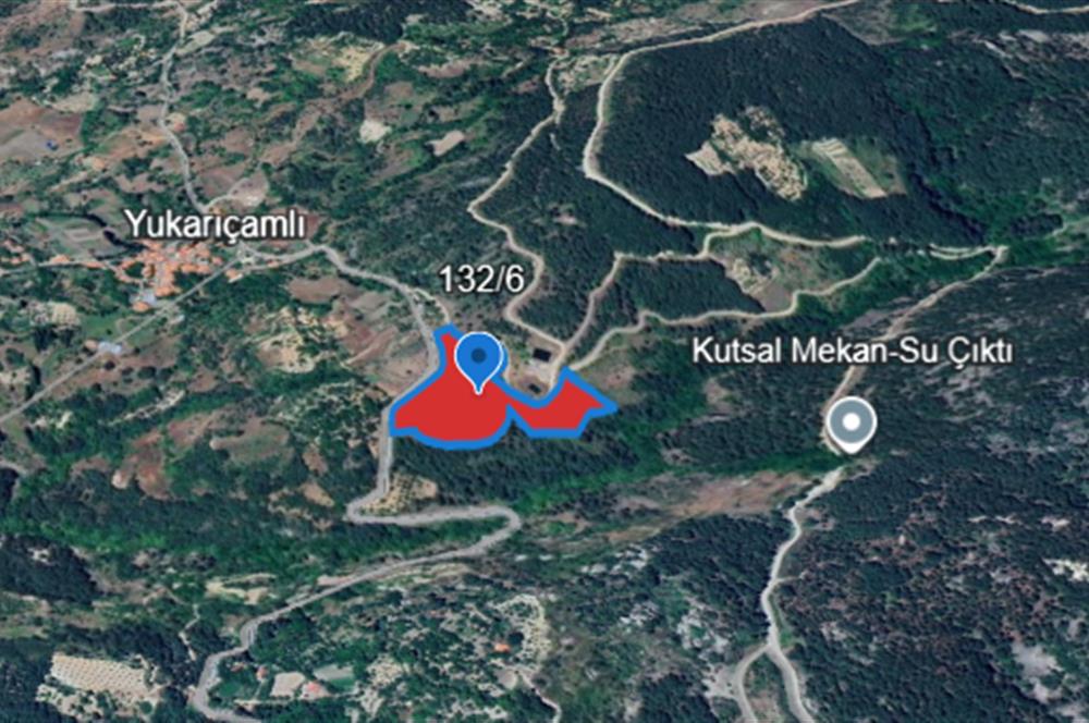Balıkesir Bigadiç Yukarıçamlı SATILIK TARLA C21 Bal