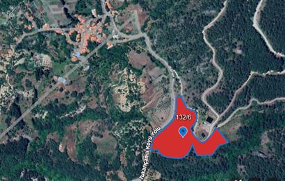 Balıkesir Bigadiç Yukarıçamlı SATILIK TARLA C21 Bal