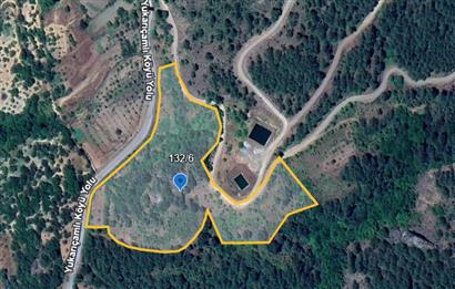 Balıkesir Bigadiç Yukarıçamlı SATILIK TARLA C21 Bal