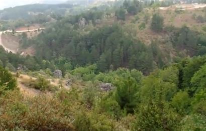 Balıkesir Bigadiç Yukarıçamlı SATILIK TARLA C21 Bal