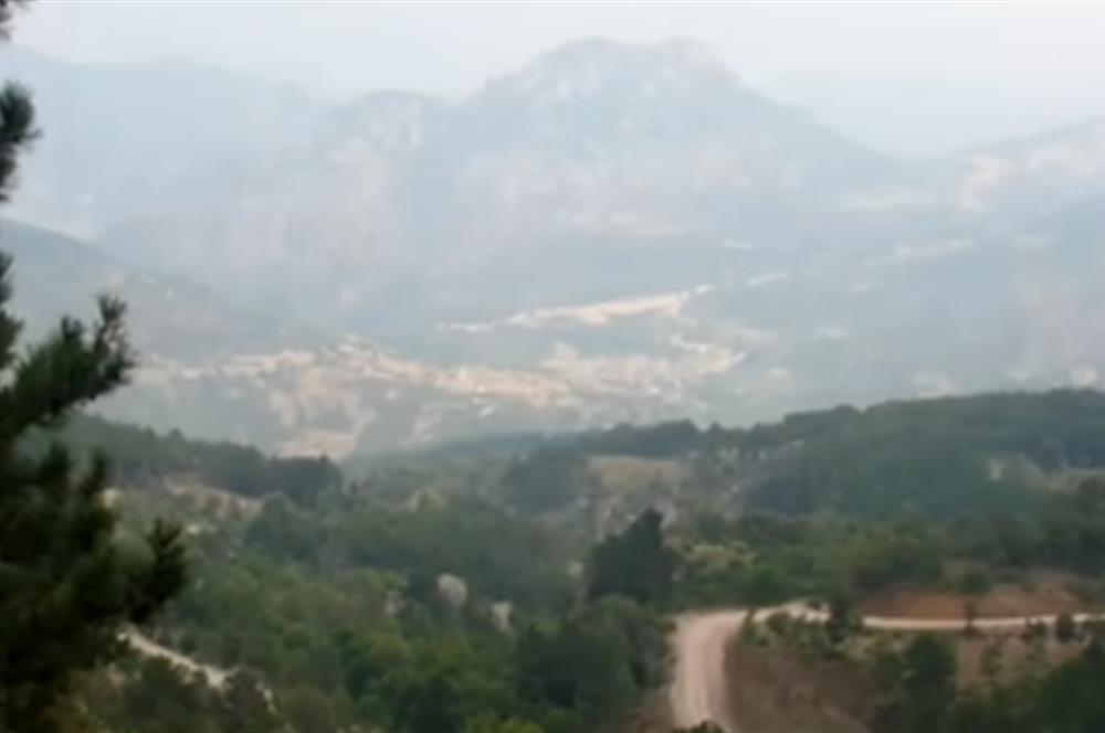 Balıkesir Bigadiç Yukarıçamlı SATILIK TARLA C21 Bal