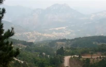 Balıkesir Bigadiç Yukarıçamlı SATILIK TARLA C21 Bal