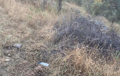 4,5 DÖNÜM GÖL MANZARALI ZEYTİNLİK KUPON FİYATA