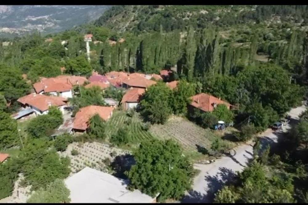 Balıkesir Bigadiç Yukarıçamlı SATILIK TARLA C21 Bal