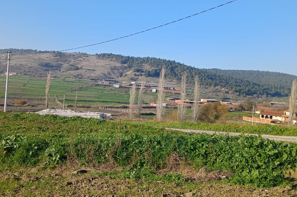 C21 LOCA'DAN BİGADİÇ ÇAMKÖY MAHALLESİNDE 896,33 M2 SATILIK TARLA