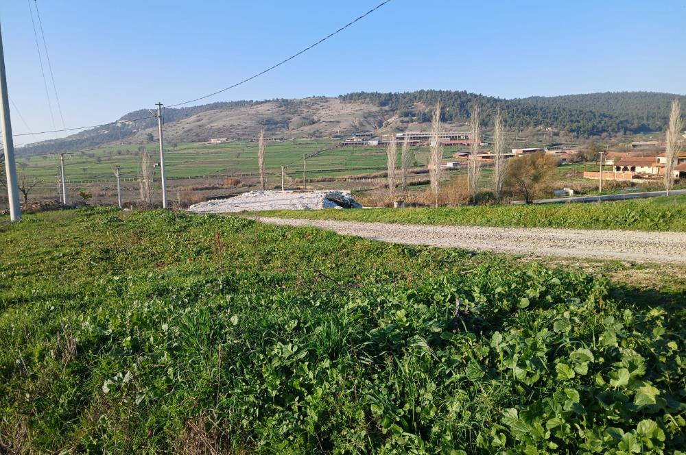 C21 LOCA'DAN BİGADİÇ ÇAMKÖY MAHALLESİNDE 896,33 M2 SATILIK TARLA