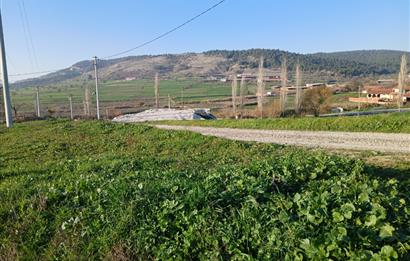 C21 LOCA'DAN BİGADİÇ ÇAMKÖY MAHALLESİNDE 896,33 M2 SATILIK TARLA