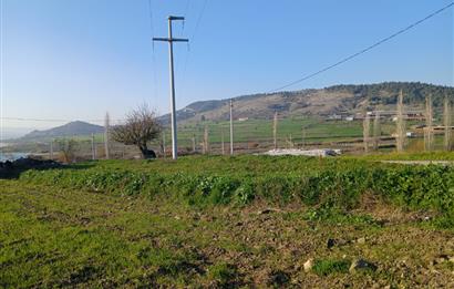 C21 LOCA'DAN BİGADİÇ ÇAMKÖY MAHALLESİNDE 896,33 M2 SATILIK TARLA