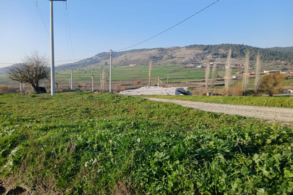 C21 LOCA'DAN BİGADİÇ ÇAMKÖY MAHALLESİNDE 896,33 M2 SATILIK TARLA