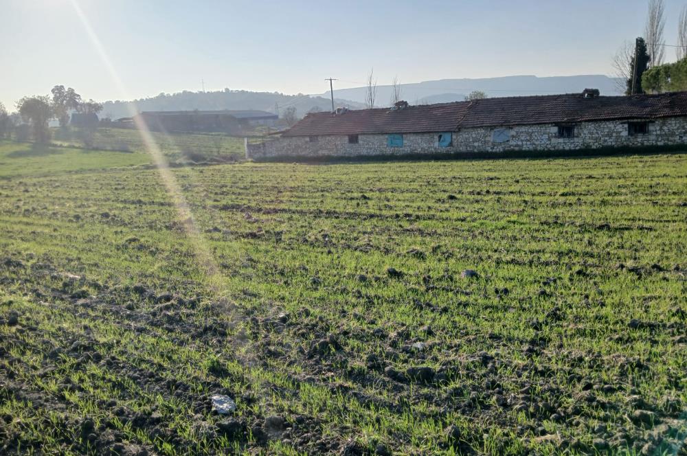 C21 LOCA'DAN BİGADİÇ ÇAMKÖY MAHALLESİNDE 896,33 M2 SATILIK TARLA