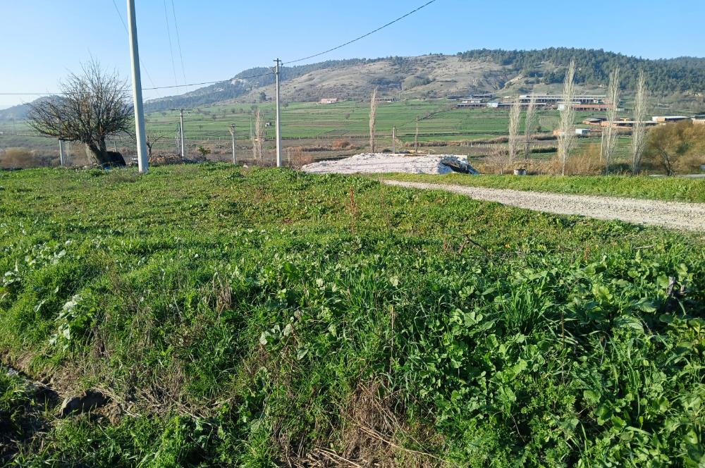 C21 LOCA'DAN BİGADİÇ ÇAMKÖY MAHALLESİNDE 896,33 M2 SATILIK TARLA