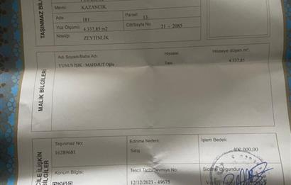 4,5 DÖNÜM GÖL MANZARALI ZEYTİNLİK KUPON FİYATA