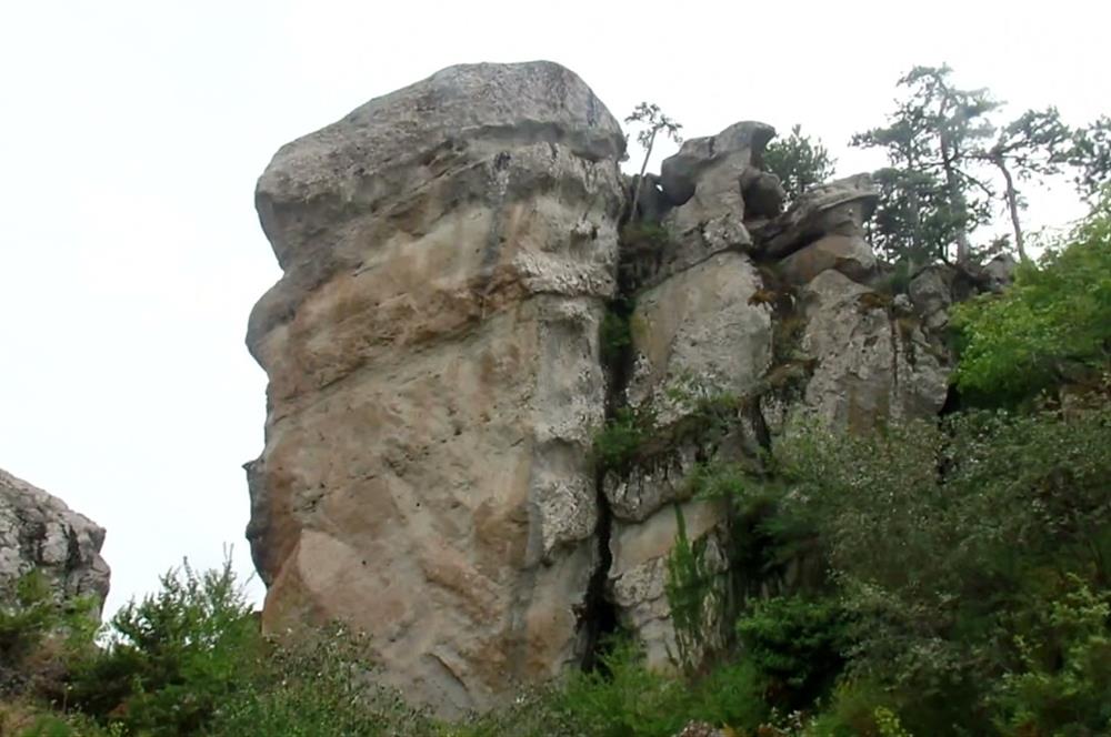 Balıkesir Bigadiç Yukarıçamlı SATILIK TARLA C21 Bal