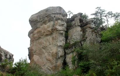 Balıkesir Bigadiç Yukarıçamlı SATILIK TARLA C21 Bal