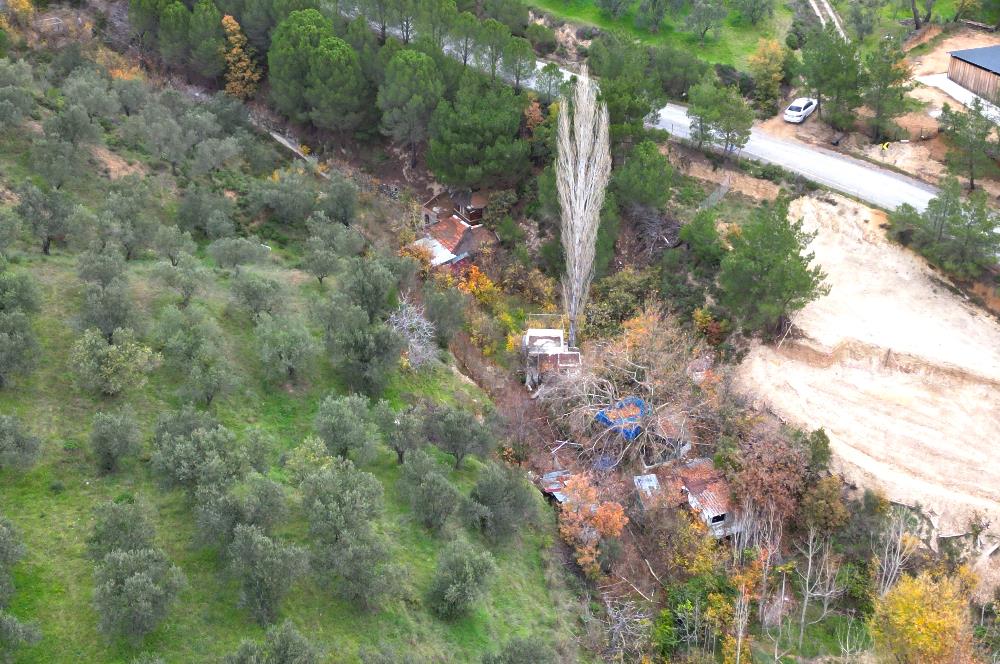 CENTRUY 21 BAL'DAN  EDREMİT HACIASLANLAR MAHALLESİ SATILIK ZEYTİNLİK