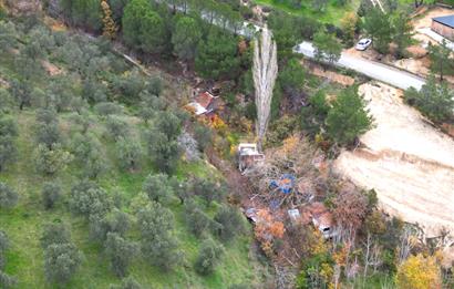 CENTRUY 21 BAL'DAN  EDREMİT HACIASLANLAR MAHALLESİ SATILIK ZEYTİNLİK