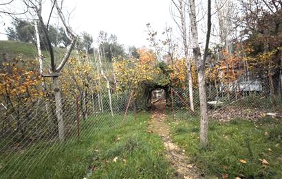 CENTRUY 21 BAL'DAN  EDREMİT HACIASLANLAR MAHALLESİ SATILIK ZEYTİNLİK