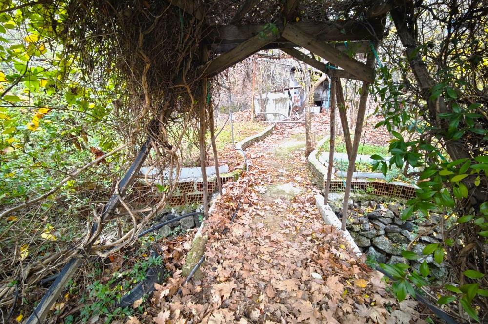 CENTRUY 21 BAL'DAN  EDREMİT HACIASLANLAR MAHALLESİ SATILIK ZEYTİNLİK