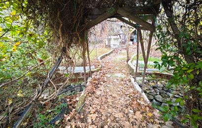 CENTRUY 21 BAL'DAN  EDREMİT HACIASLANLAR MAHALLESİ SATILIK ZEYTİNLİK