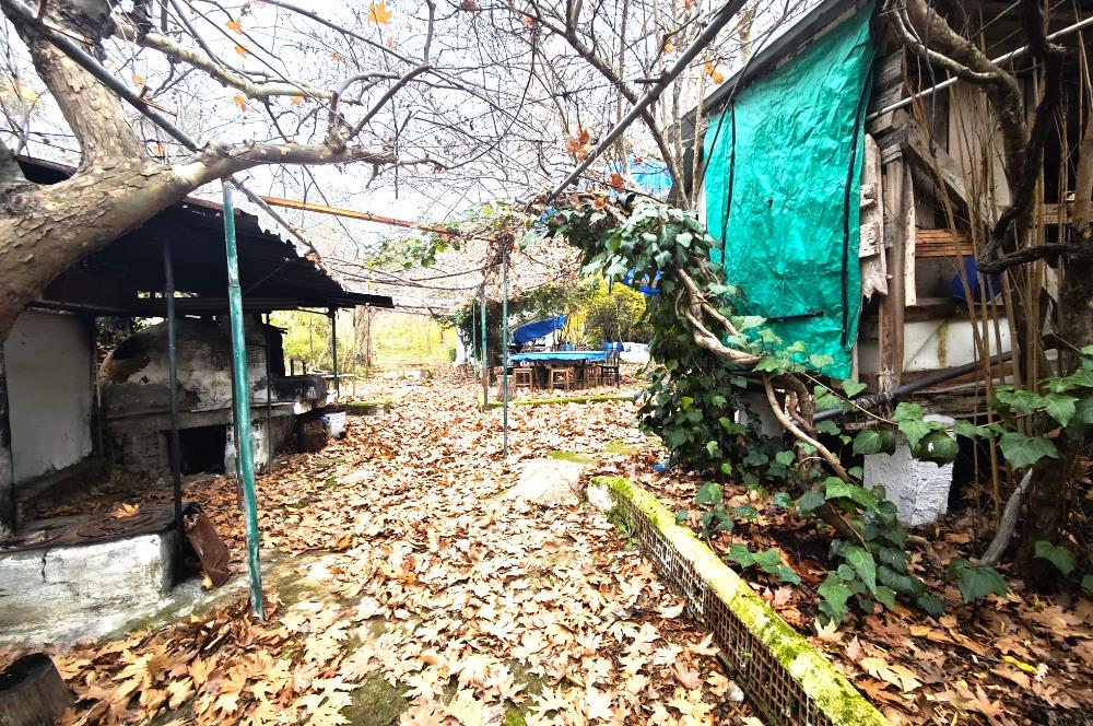 CENTRUY 21 BAL'DAN  EDREMİT HACIASLANLAR MAHALLESİ SATILIK ZEYTİNLİK