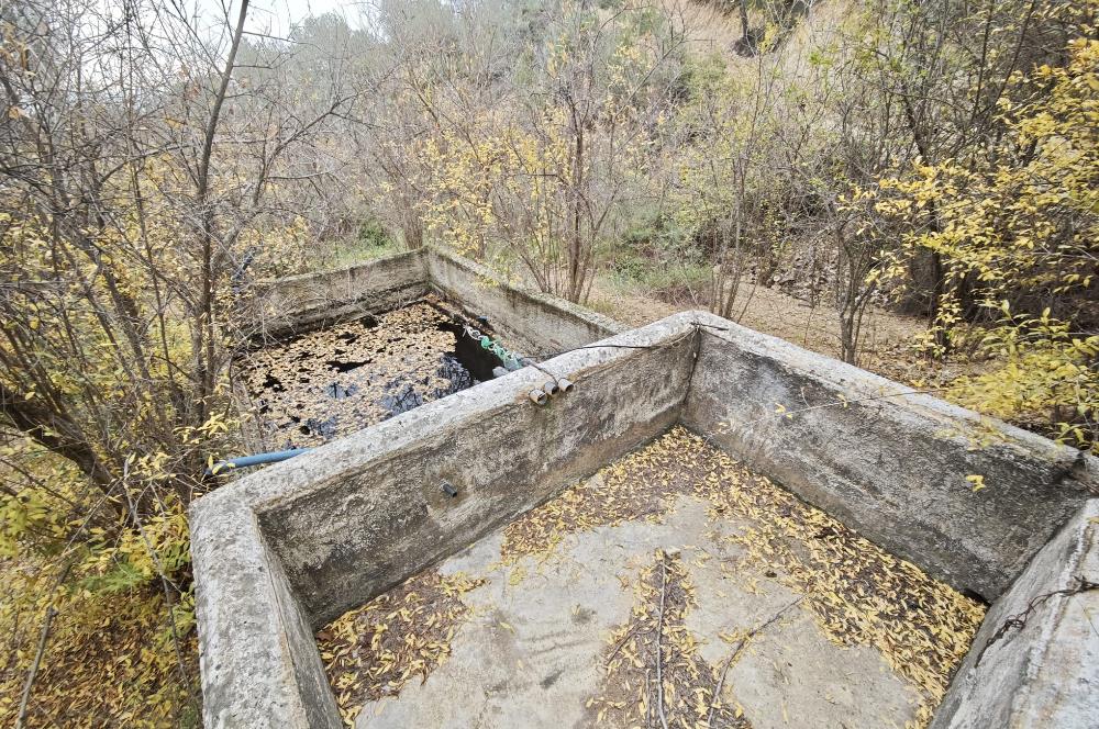 CENTRUY 21 BAL'DAN  EDREMİT HACIASLANLAR MAHALLESİ SATILIK ZEYTİNLİK