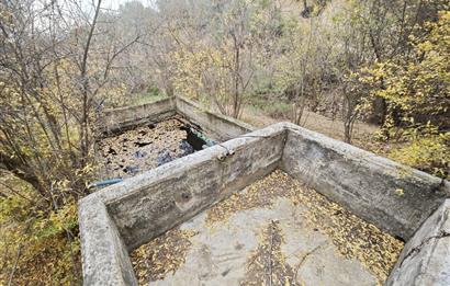 CENTRUY 21 BAL'DAN  EDREMİT HACIASLANLAR MAHALLESİ SATILIK ZEYTİNLİK