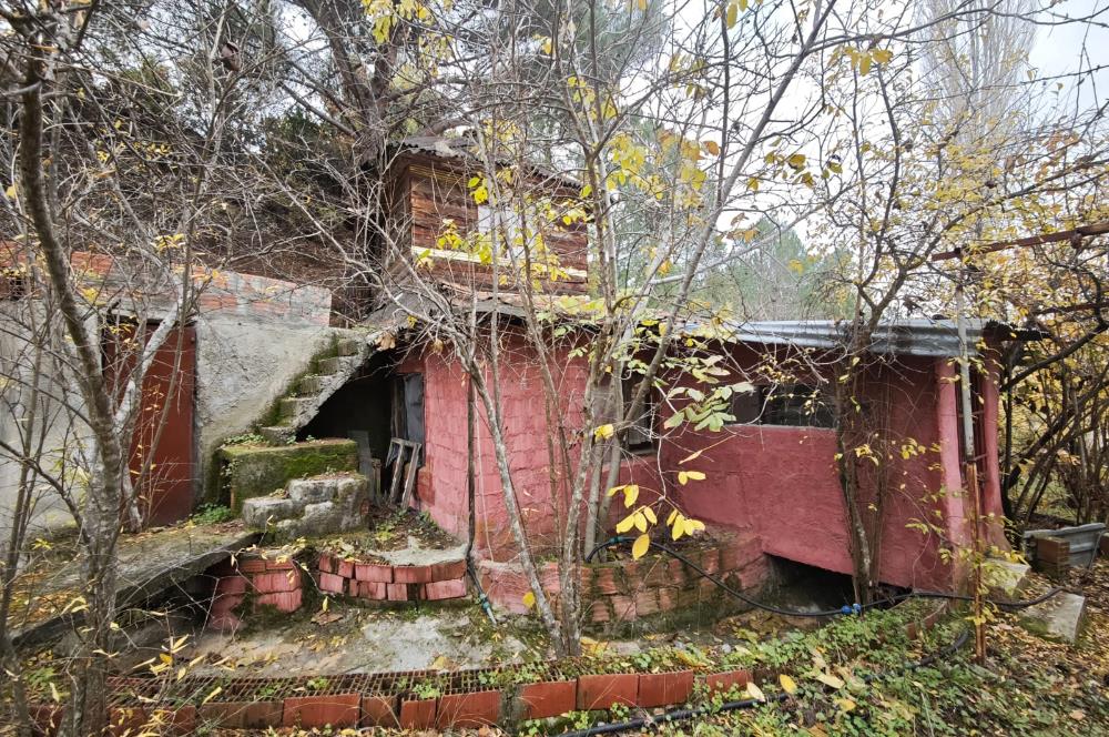 CENTRUY 21 BAL'DAN  EDREMİT HACIASLANLAR MAHALLESİ SATILIK ZEYTİNLİK