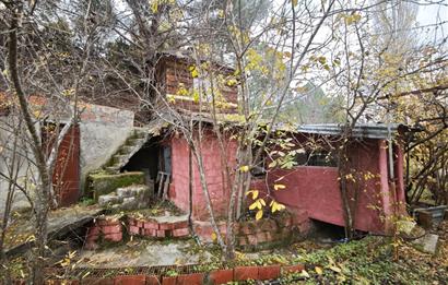 CENTRUY 21 BAL'DAN  EDREMİT HACIASLANLAR MAHALLESİ SATILIK ZEYTİNLİK