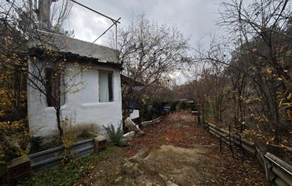 CENTRUY 21 BAL'DAN  EDREMİT HACIASLANLAR MAHALLESİ SATILIK ZEYTİNLİK