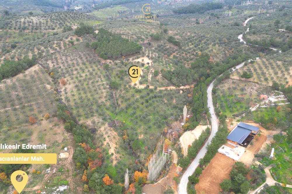 CENTRUY 21 BAL'DAN  EDREMİT HACIASLANLAR MAHALLESİ SATILIK ZEYTİNLİK