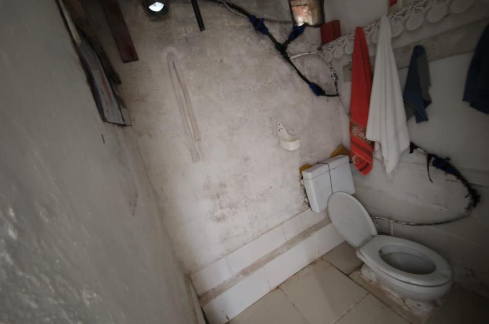 CENTRUY 21 BAL'DAN  EDREMİT HACIASLANLAR MAHALLESİ SATILIK ZEYTİNLİK