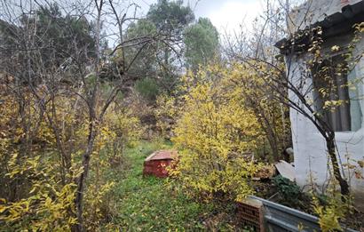 CENTRUY 21 BAL'DAN  EDREMİT HACIASLANLAR MAHALLESİ SATILIK ZEYTİNLİK