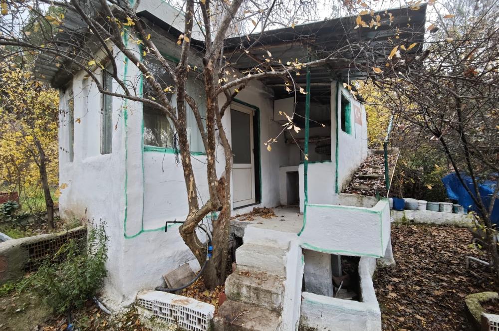 CENTRUY 21 BAL'DAN  EDREMİT HACIASLANLAR MAHALLESİ SATILIK ZEYTİNLİK