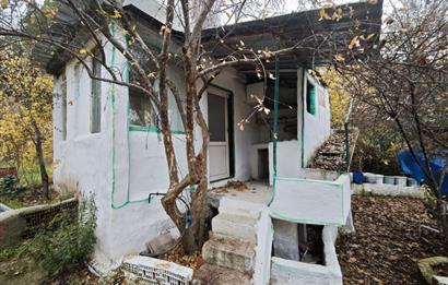 CENTRUY 21 BAL'DAN  EDREMİT HACIASLANLAR MAHALLESİ SATILIK ZEYTİNLİK