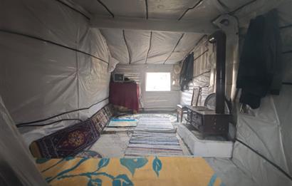 CENTRUY 21 BAL'DAN  EDREMİT HACIASLANLAR MAHALLESİ SATILIK ZEYTİNLİK